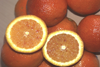 orange_maltaise