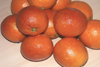 orange_maltaise